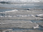 Ice at Rondeau, Lake Erie