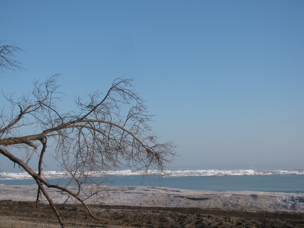 Tip of Rondeau, ice in Lake Erie